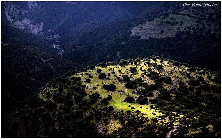 Apartamentos Turisticos Rurales Monte De Las Animas Valdepenas de Jaen Εξωτερικό φωτογραφία