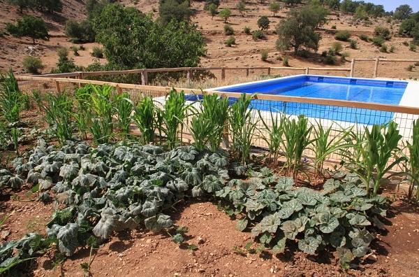 Apartamentos Turisticos Rurales Monte De Las Animas Valdepenas de Jaen Εξωτερικό φωτογραφία